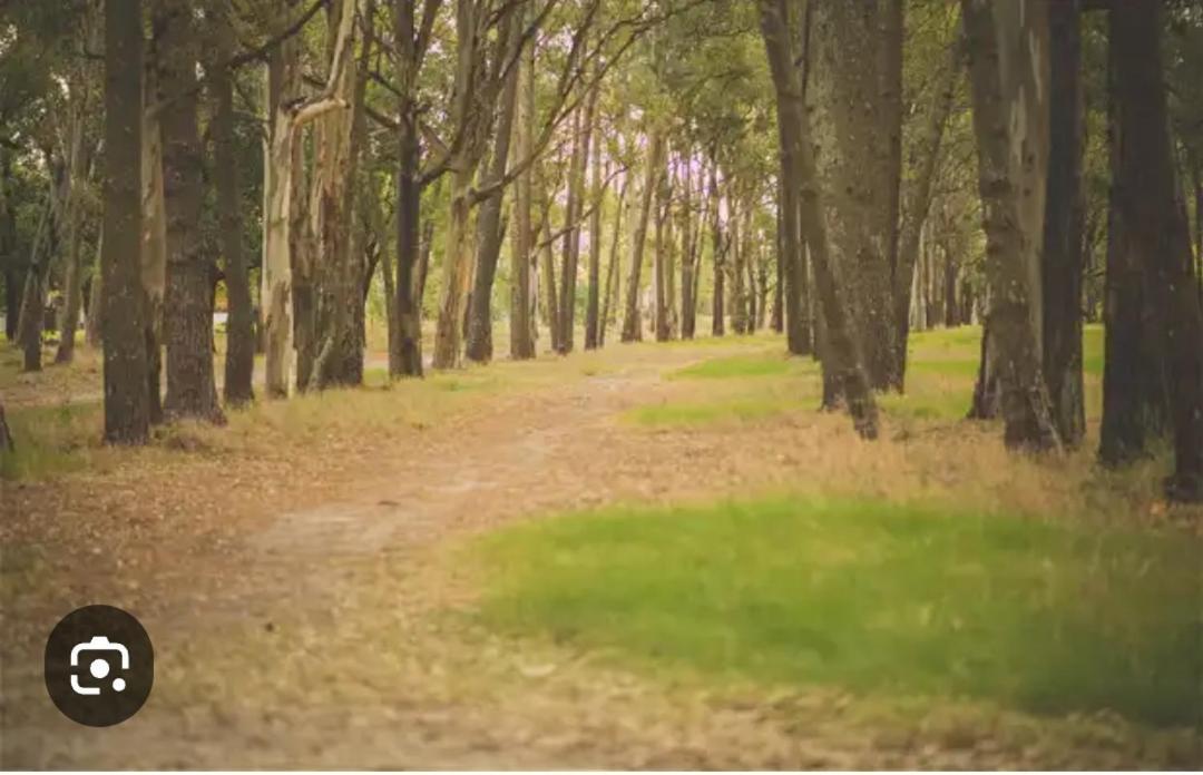 Playa, Bosque Y Lago Μοντεβιδέο Εξωτερικό φωτογραφία